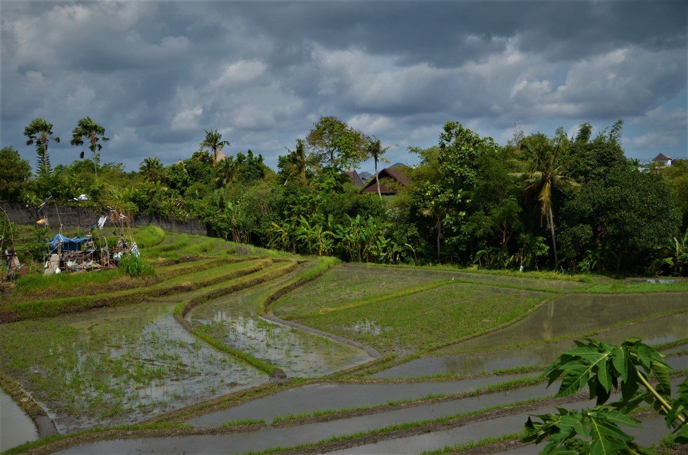 Photograph by Андрей Телибаев