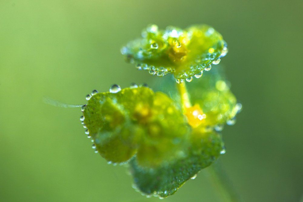 Photograph by Carmen Vich