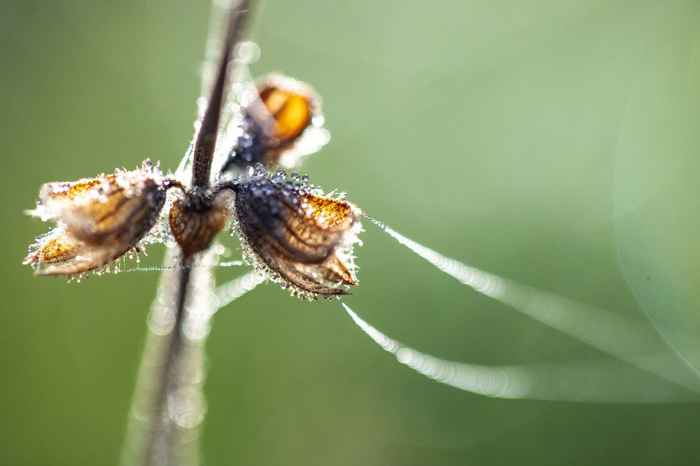 Photograph by Carmen Vich