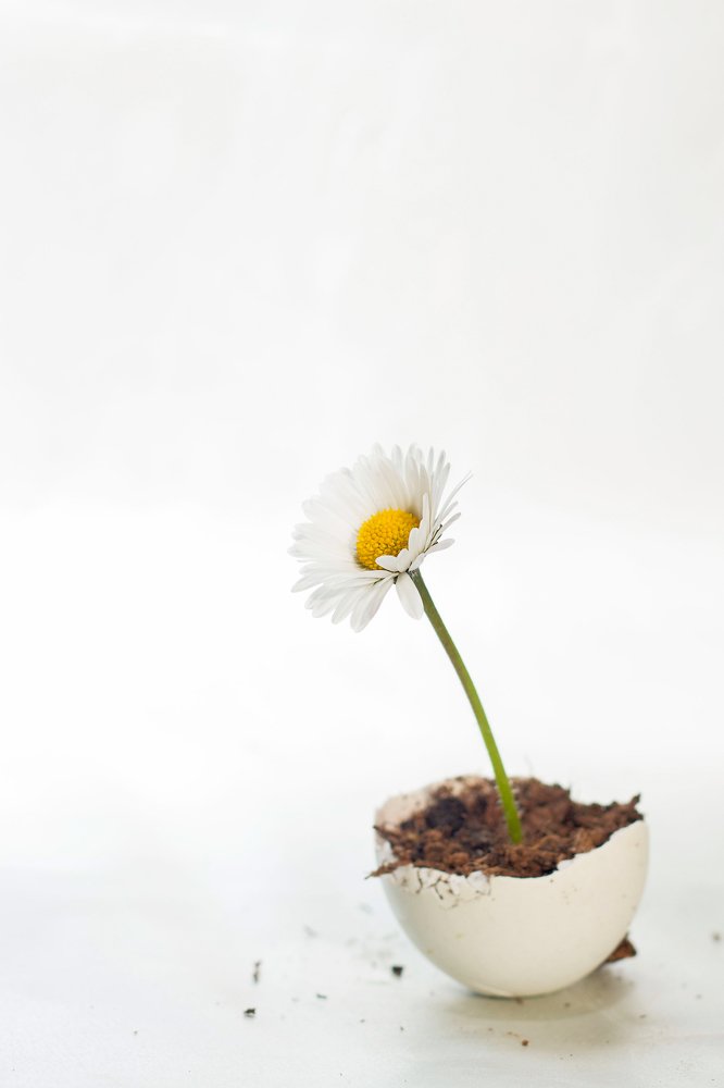 Photograph by Janek Lass