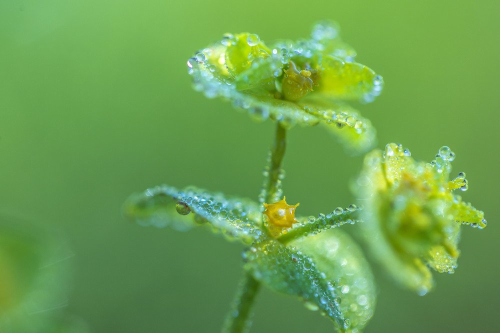 Photograph by Carmen Vich