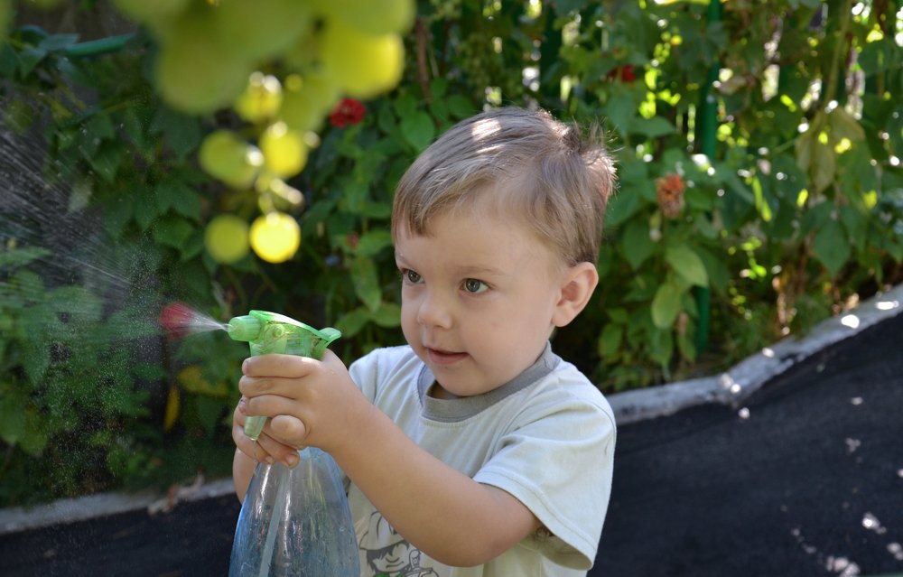 Photograph by Елена Зоря