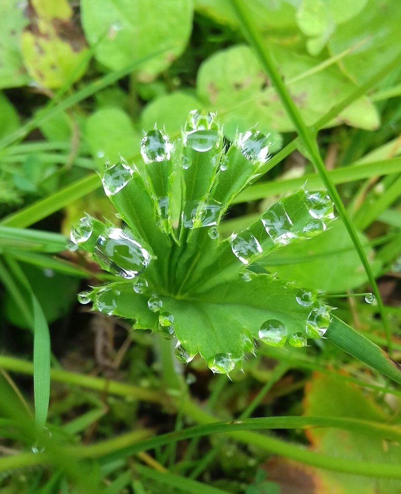 Photograph by Наиля Ахтямова