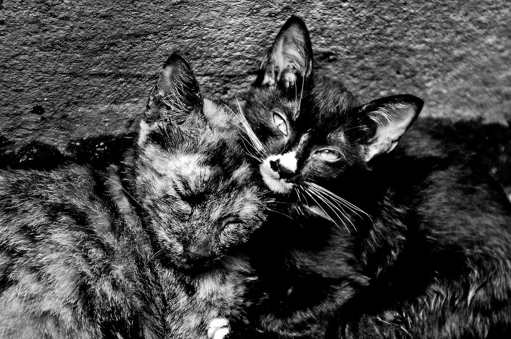 Photograph by MỸ THUẬN HUỲNH