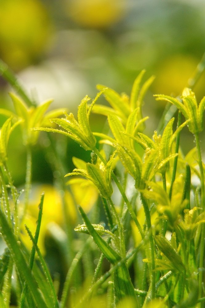 Photograph by Татьяна Лавренюк