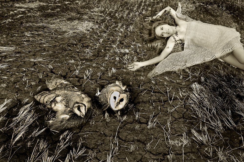 Photograph by MỸ THUẬN HUỲNH