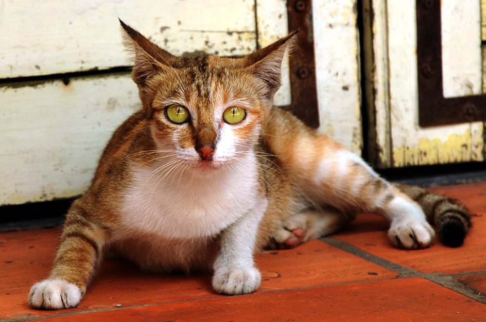 Photograph by MỸ THUẬN HUỲNH