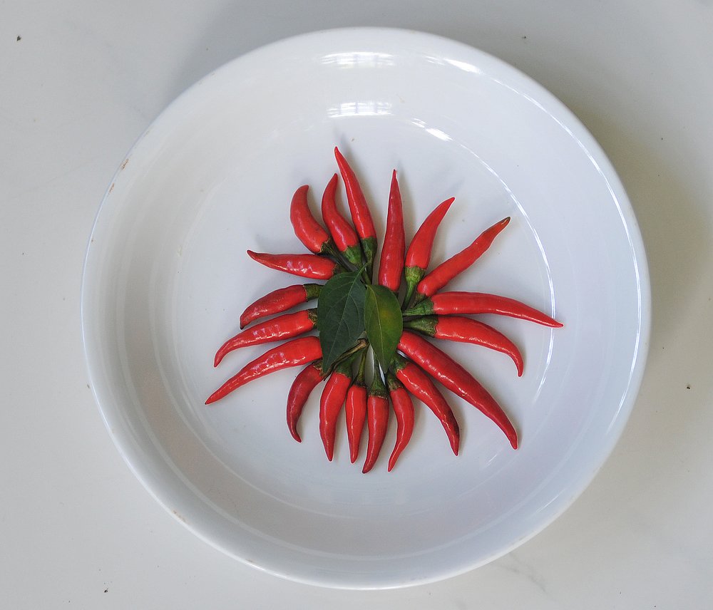 Photograph by MỸ THUẬN HUỲNH