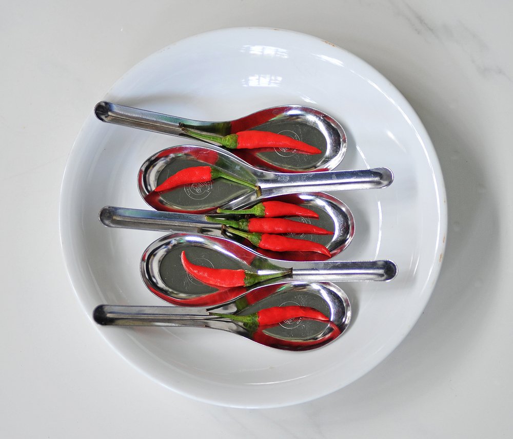 Photograph by MỸ THUẬN HUỲNH