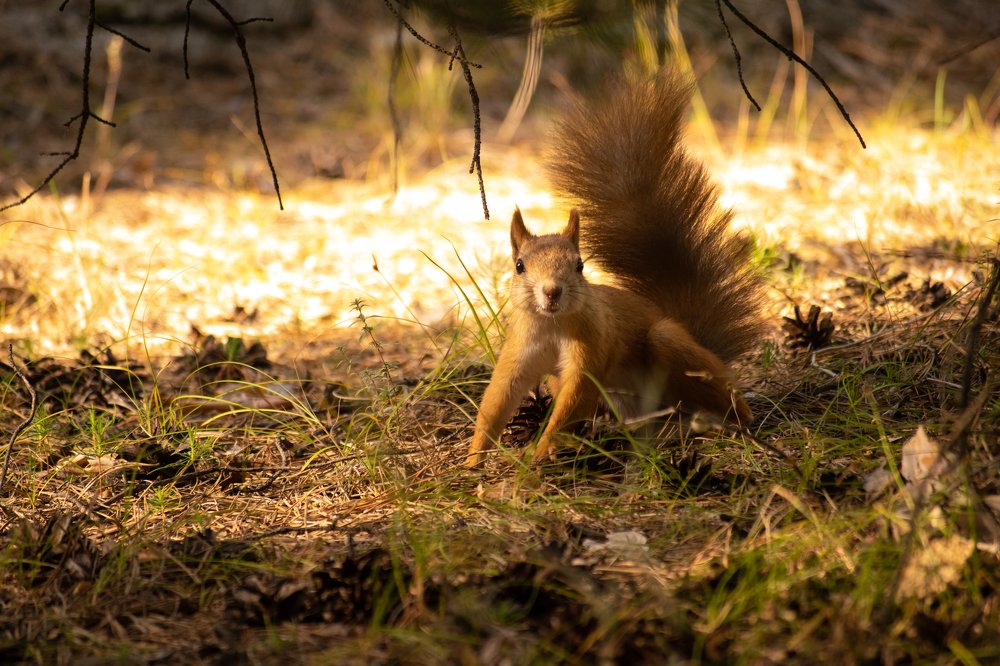 Photograph by Александр Староверов