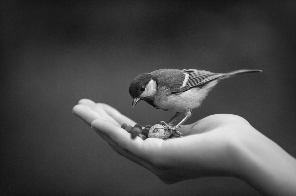 Photograph by Андрей Шевченко