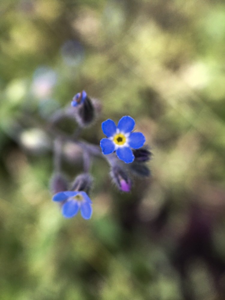 Photograph by Кристина Ковальчук