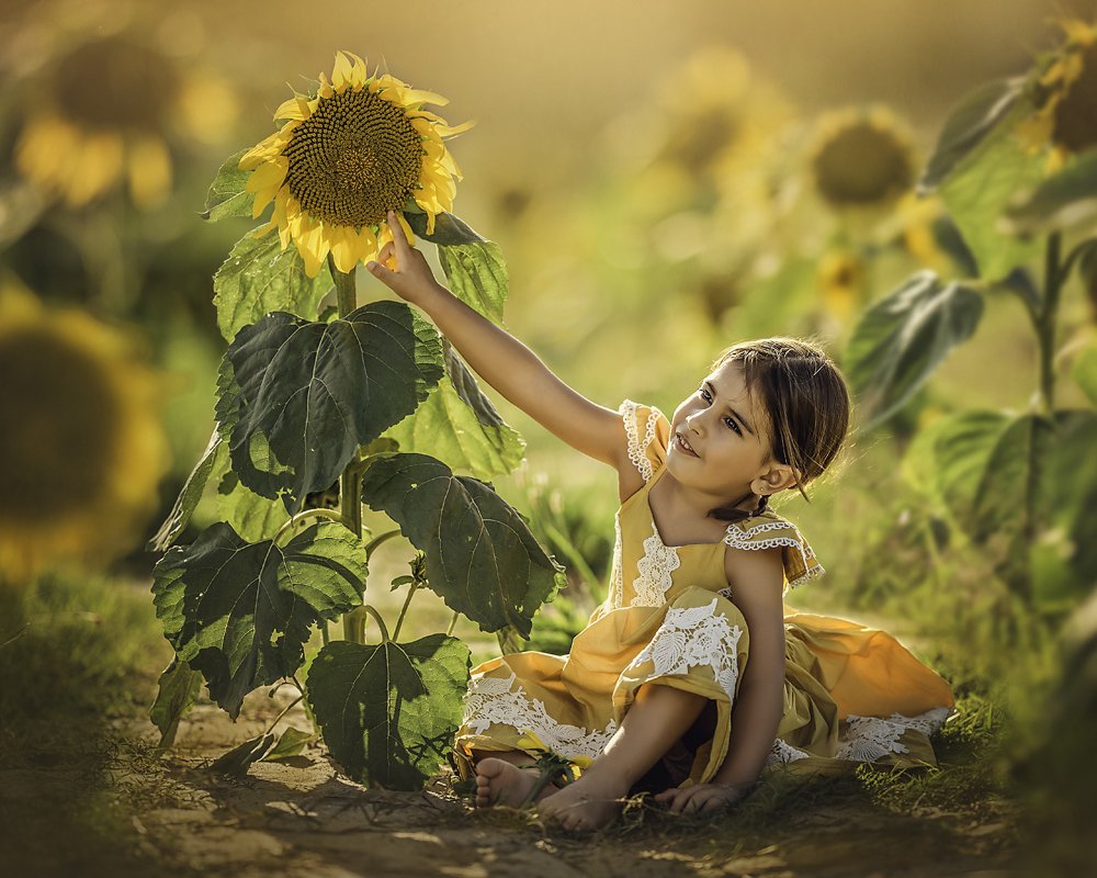 Sunflowers happiness