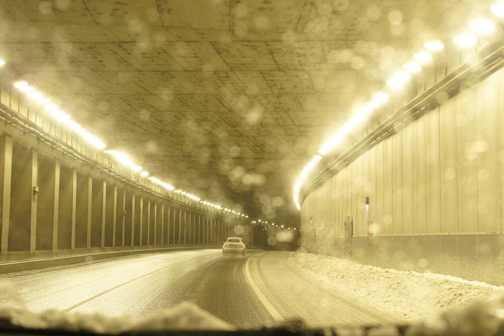 Photo #3600739
