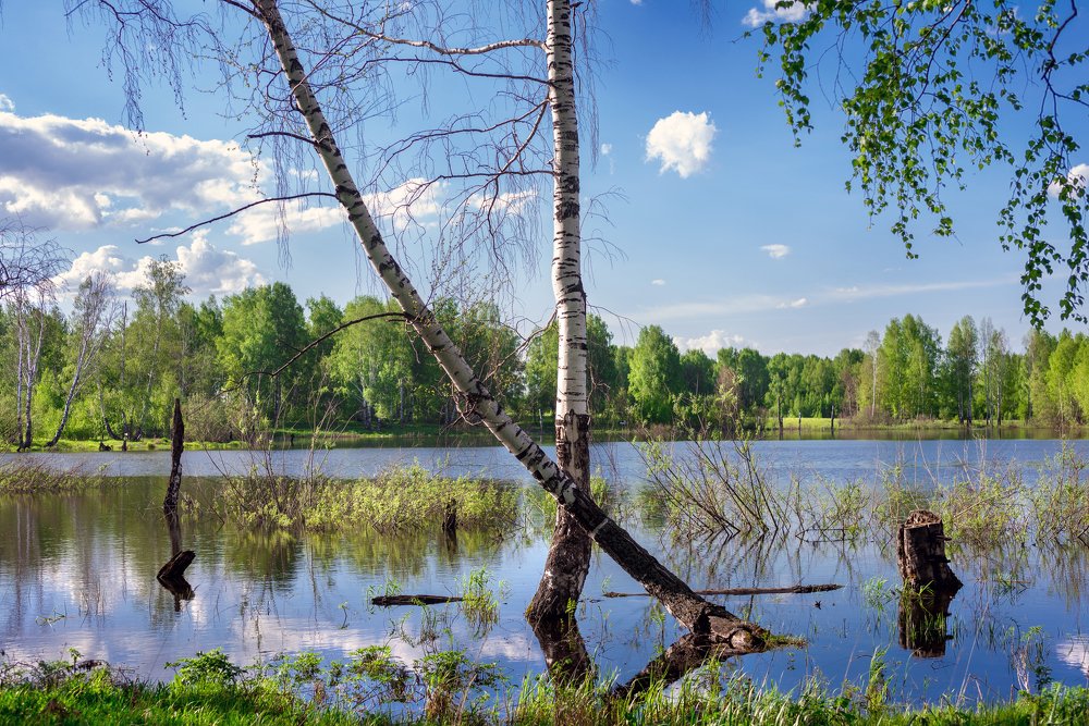 Photograph by Олег Русинович