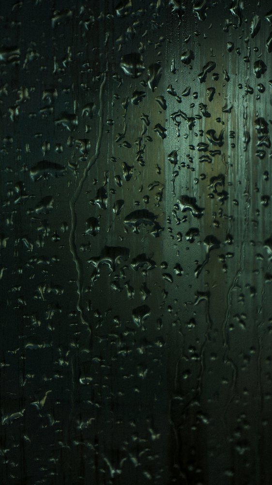 Photograph by Jesse Obbes