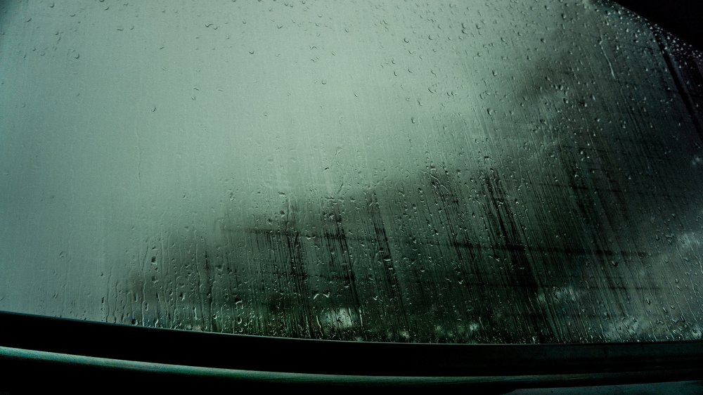 Photograph by Jesse Obbes