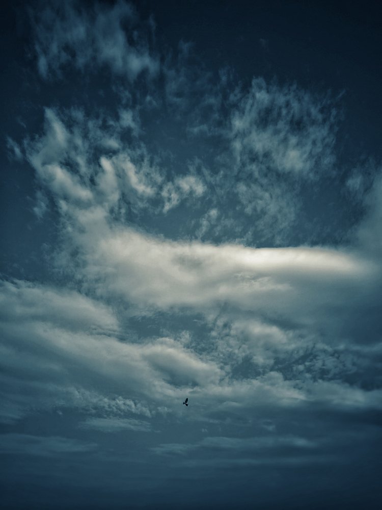 Photograph by Лариса Сиверина