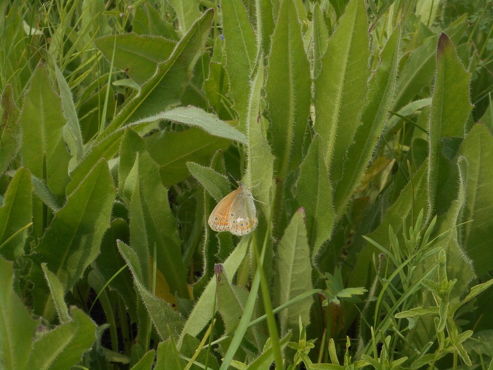 Photograph by Светлана Хоботова