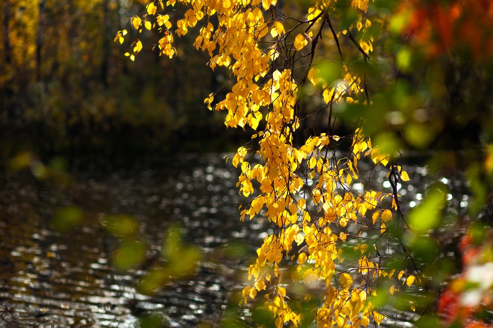 Photograph by Александр Кузнецов