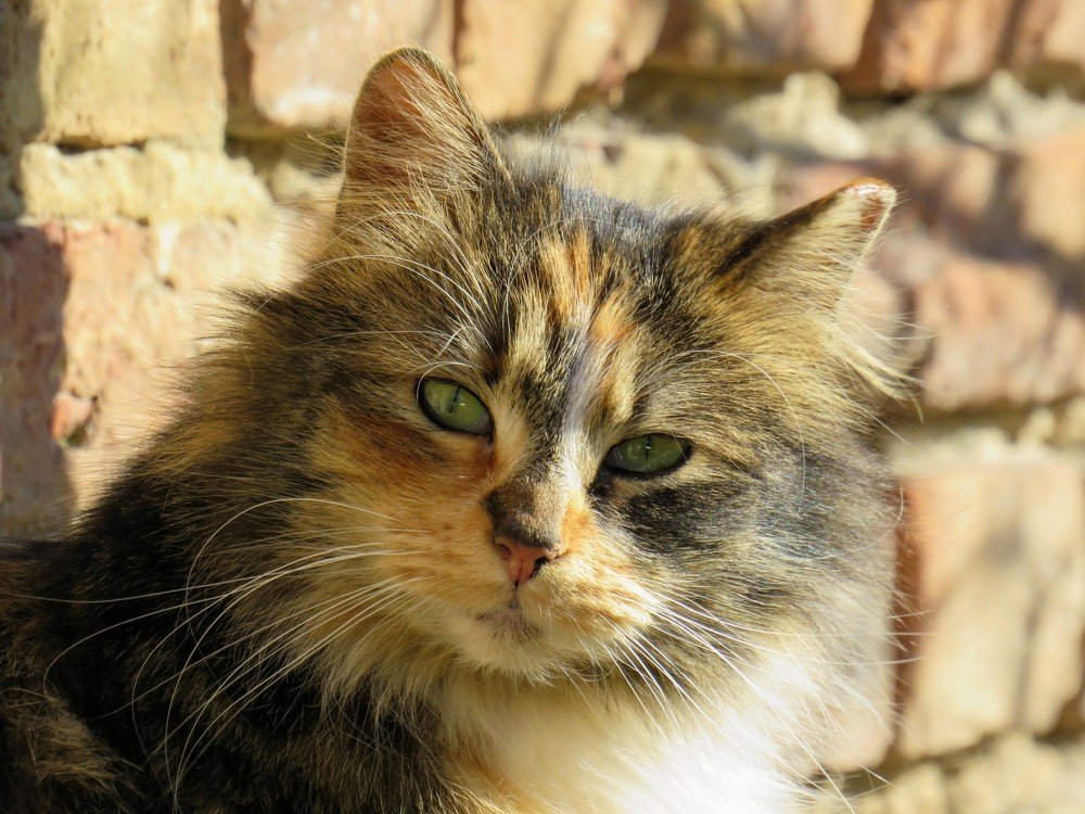 Я тебе в душу посмотрю...