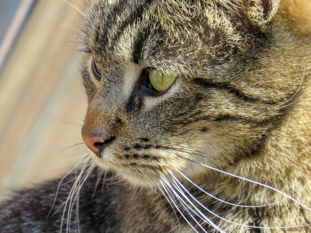 Photograph by ТАТЬЯНА КОНРАДИ