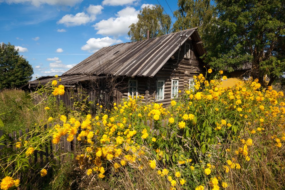 Photograph by Александр Кузнецов