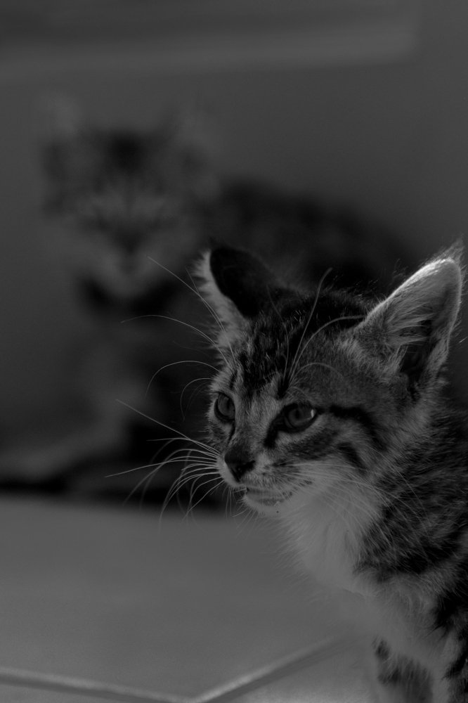 Photograph by Ihsan Kurniawan