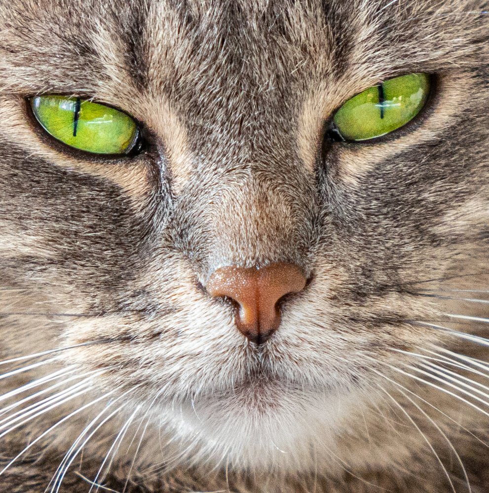 Photograph by Maksim Kozlov