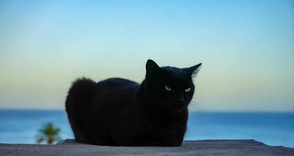 Photograph by Maksim Kozlov