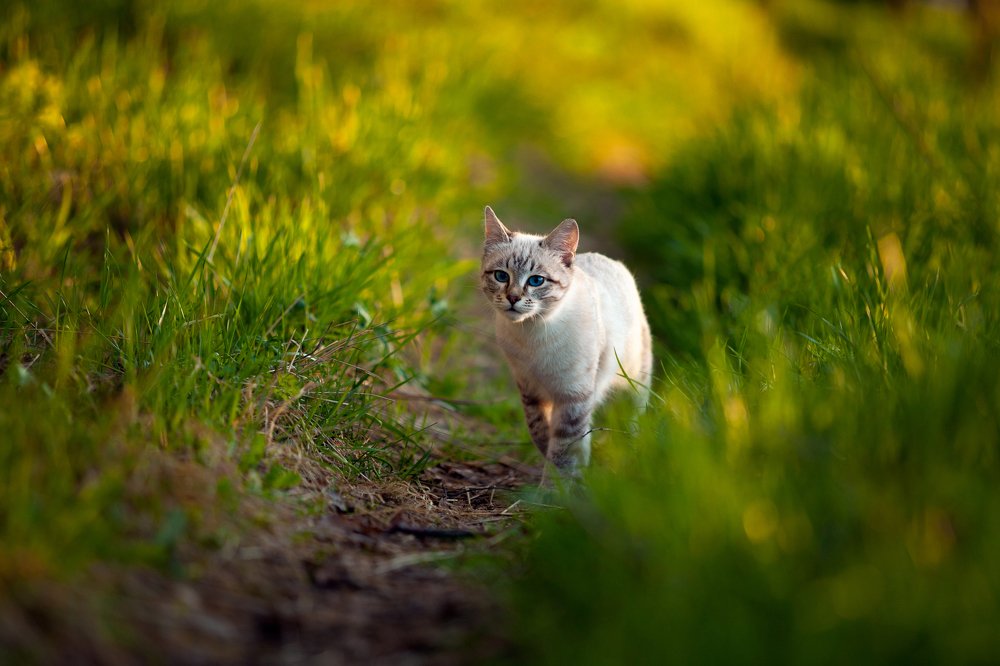 Photograph by Александр Кузнецов