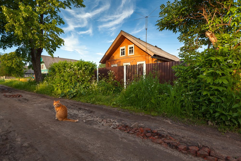 Photograph by Александр Кузнецов