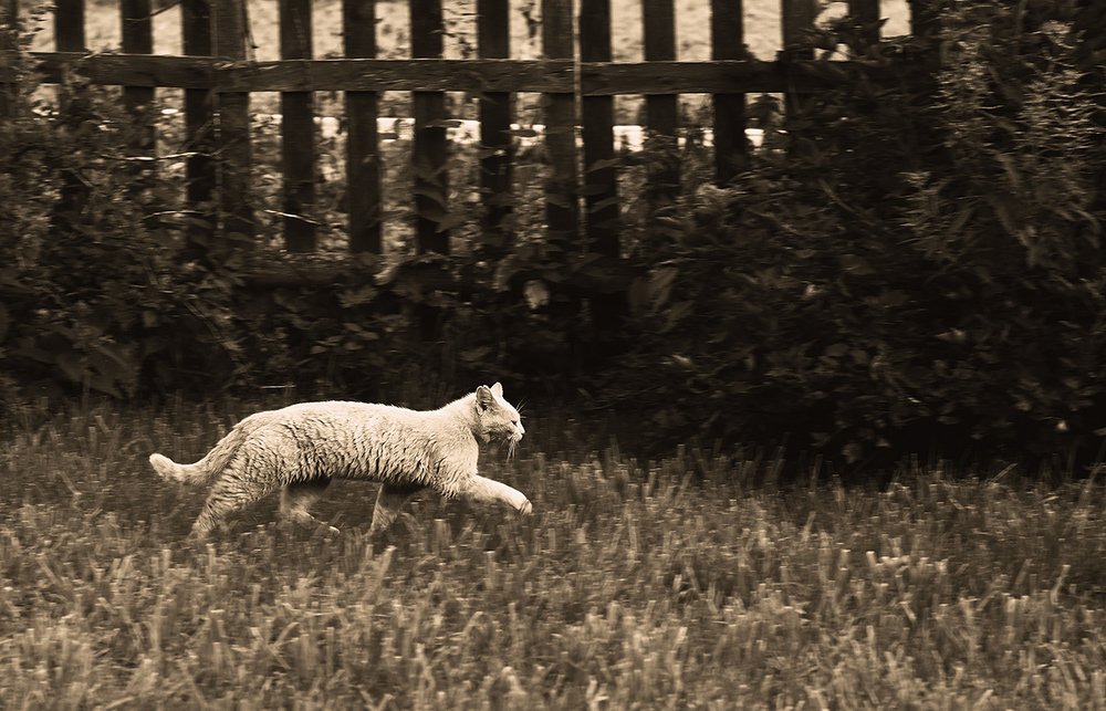 Photograph by Евгений Барзенков