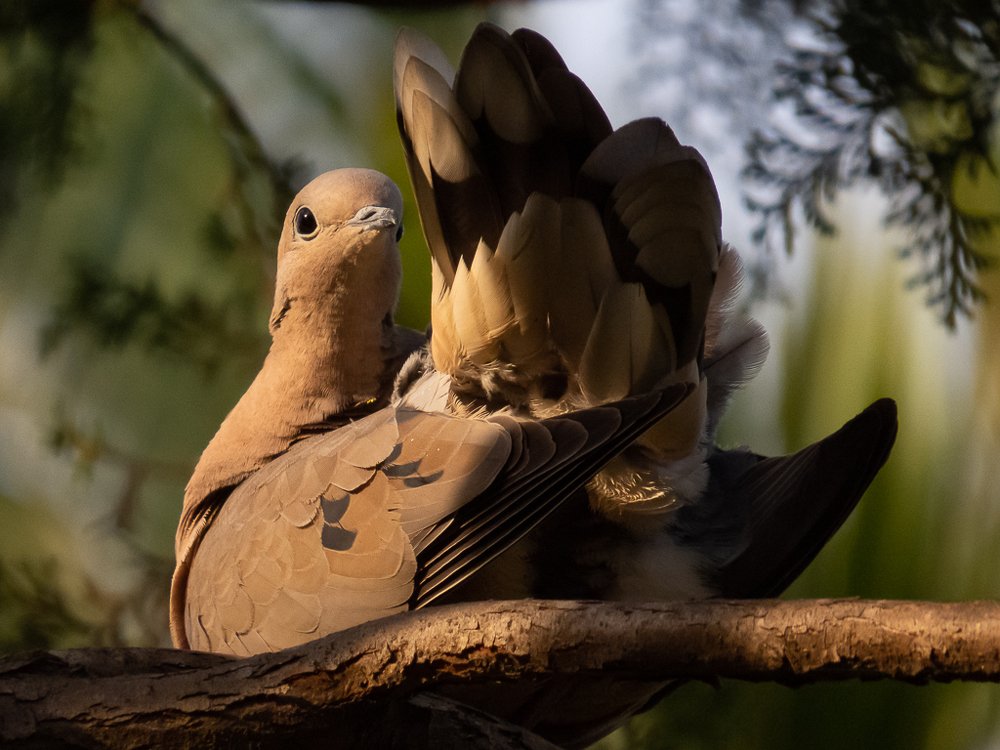 Photograph by Bruno Fermino