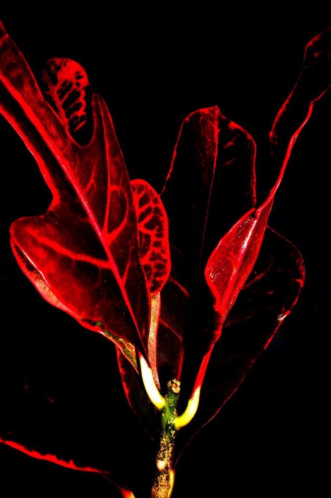 Photograph by Галья Щербина