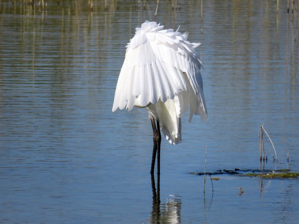 Photograph by ТАТЬЯНА КОНРАДИ