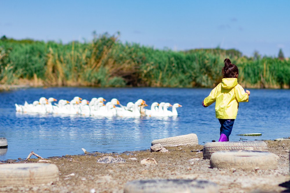 Фотография автора Ольга Тайчинова