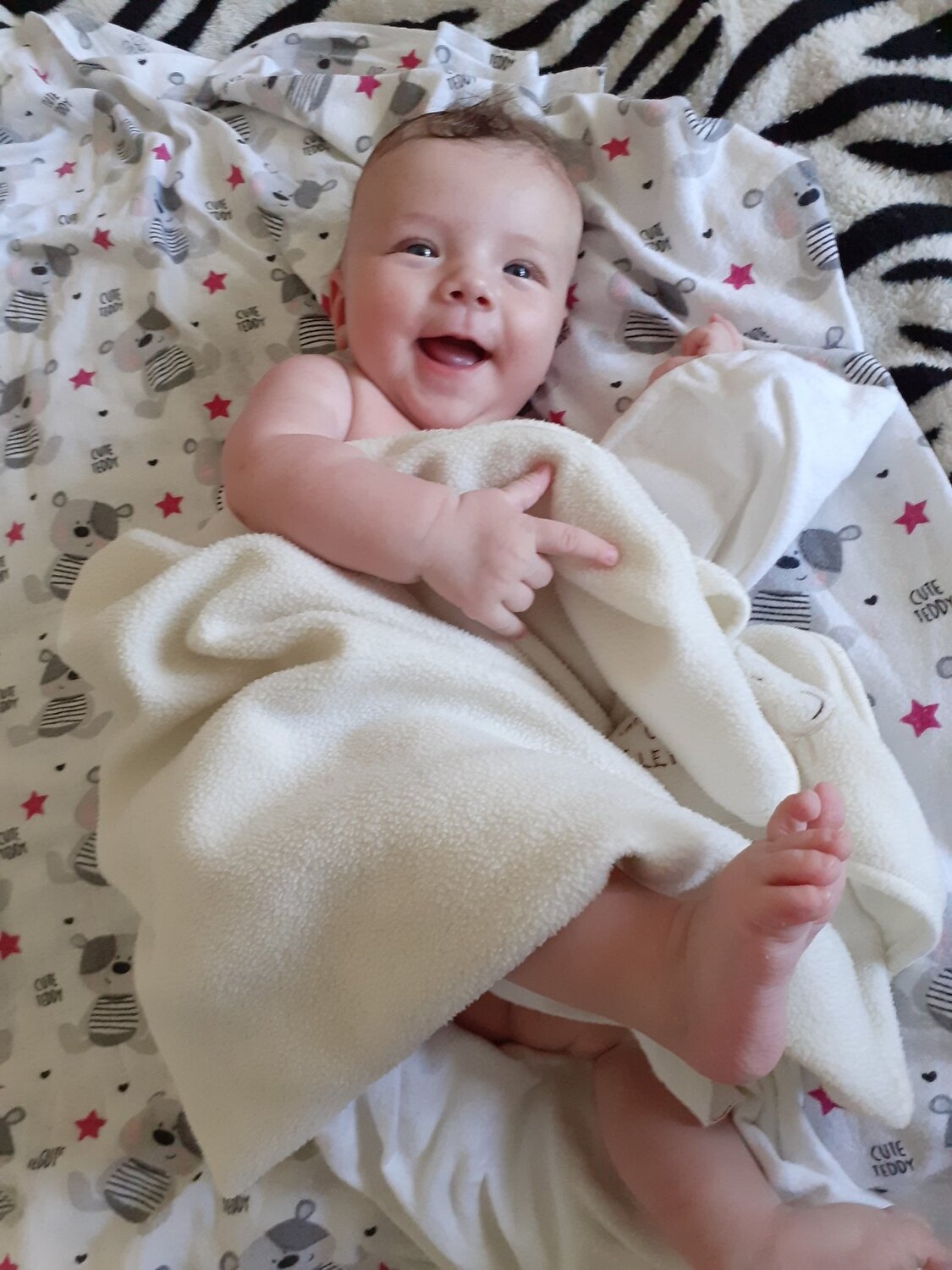 Photo #3601087
