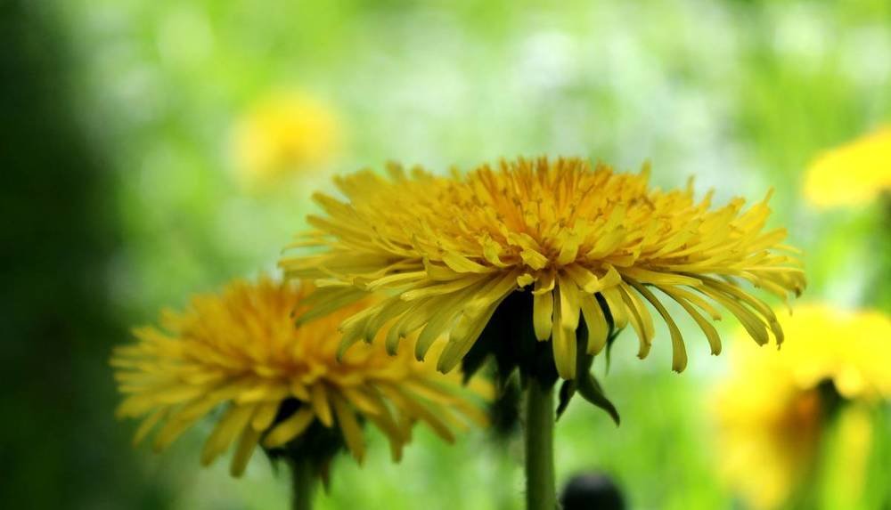 Photograph by Николай Чичерин