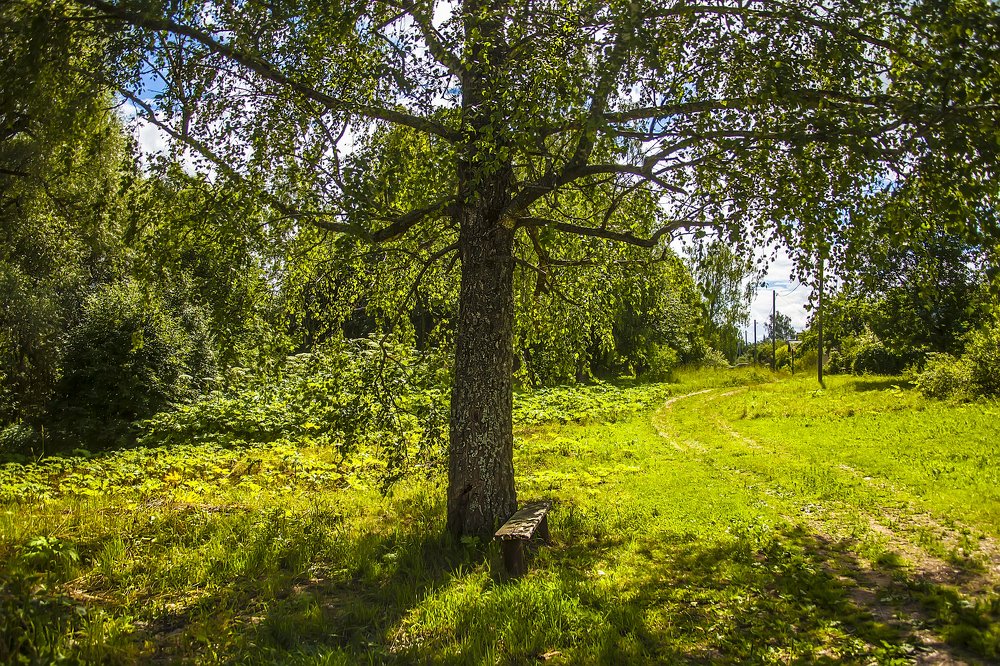 Photograph by Михаил Строев