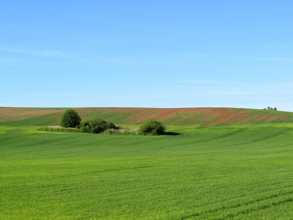 Photograph by ТАТЬЯНА КОНРАДИ
