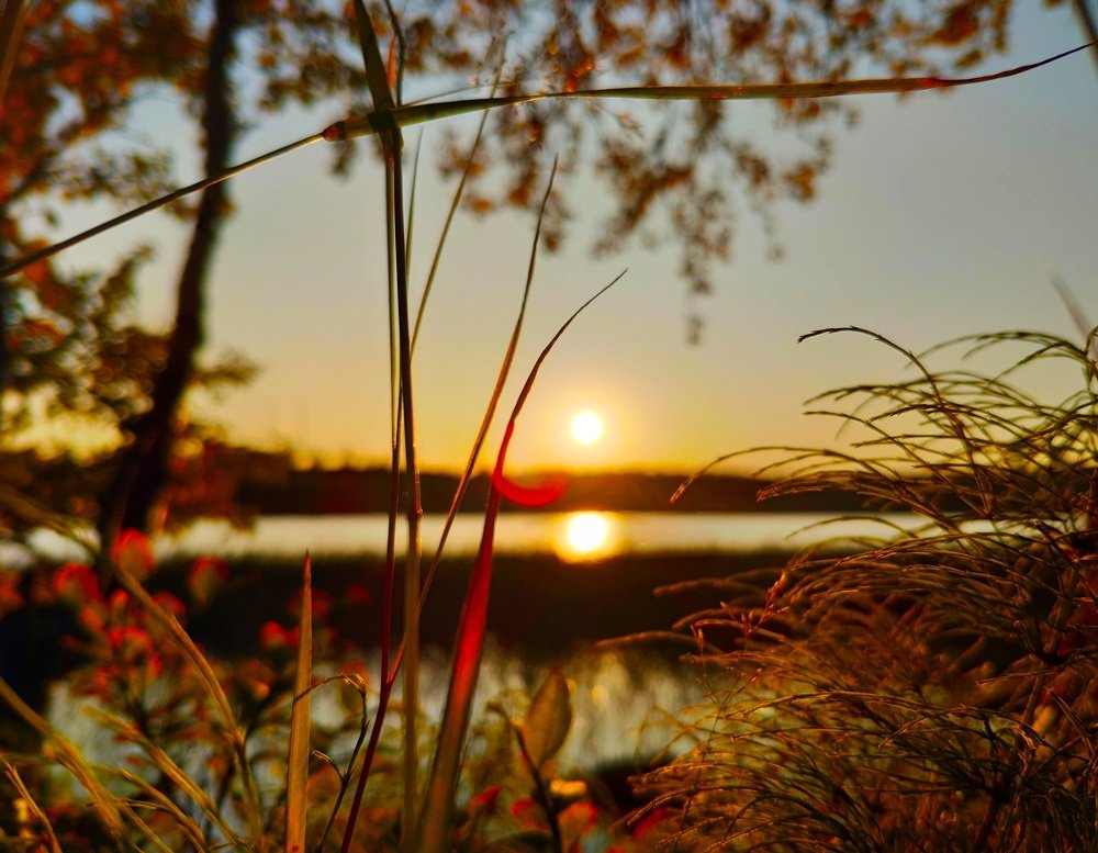 Photograph by 