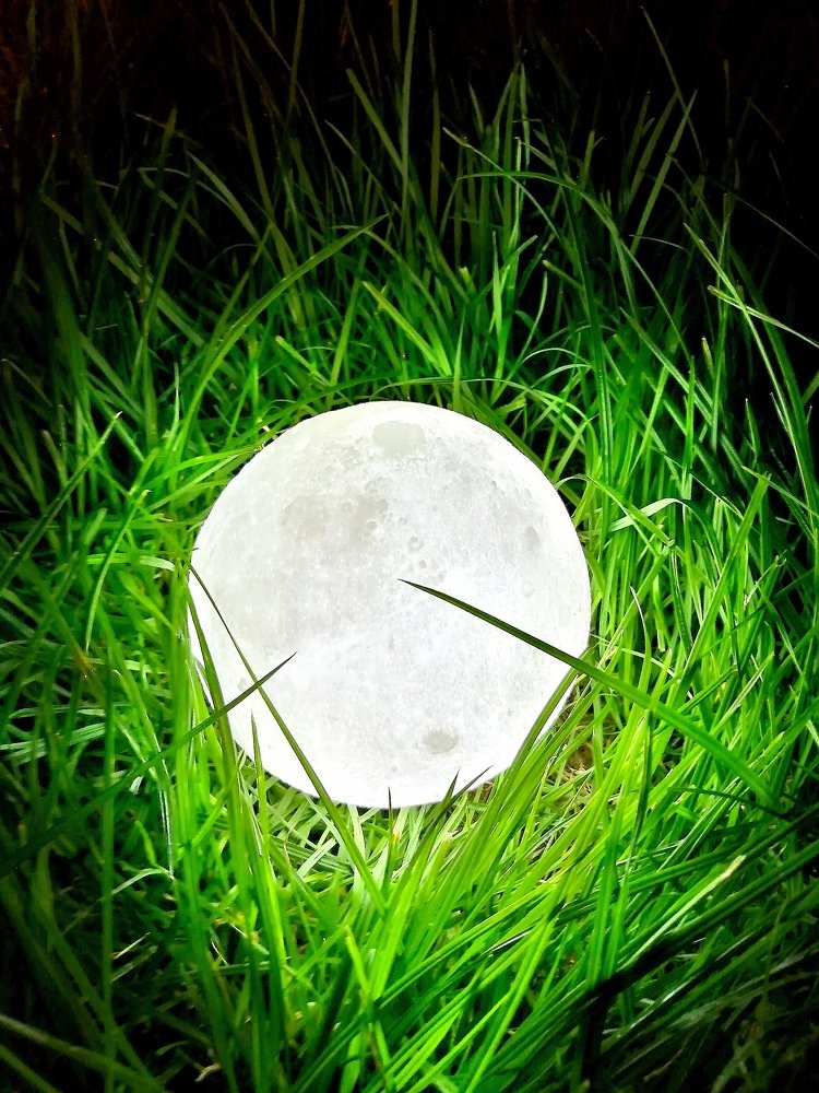 Фотография автора Камиль Хайрутдинов