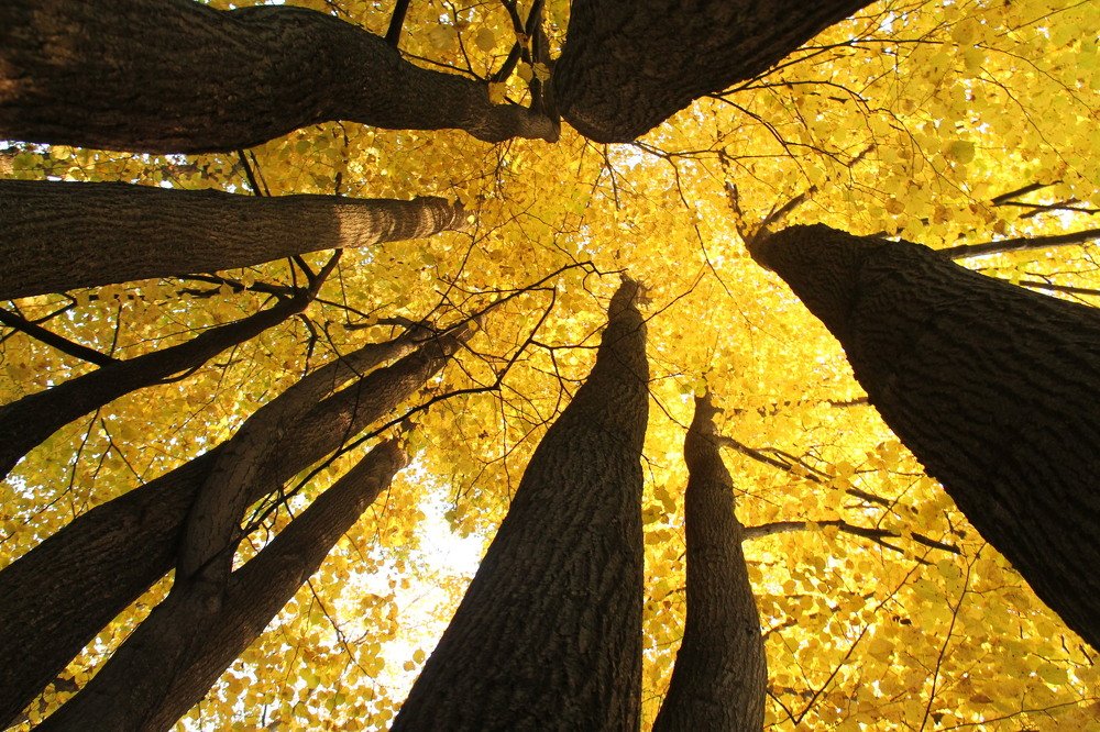 Photograph by Игорь Улитин