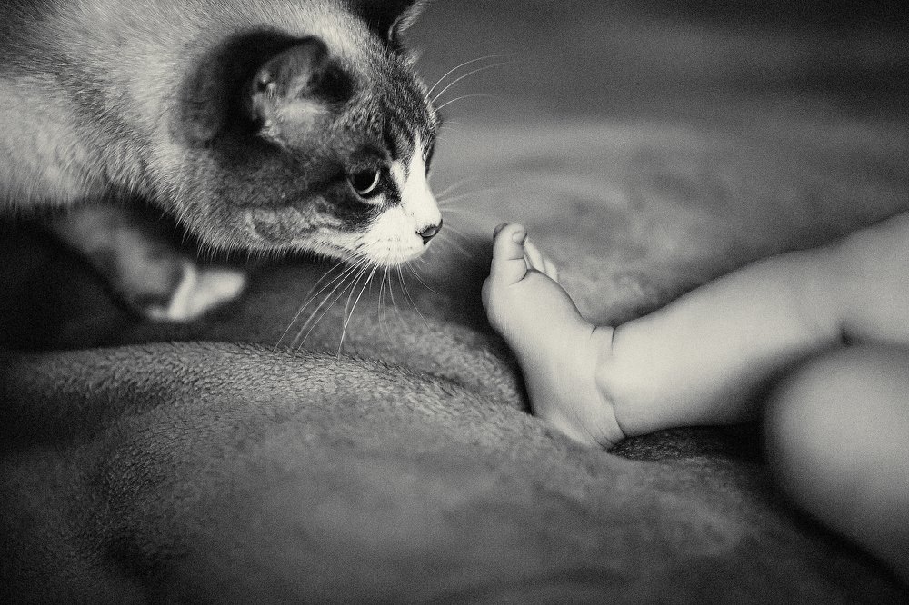 Photograph by Алексей Дубинкин