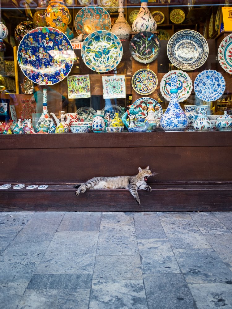 Photograph by Avnish