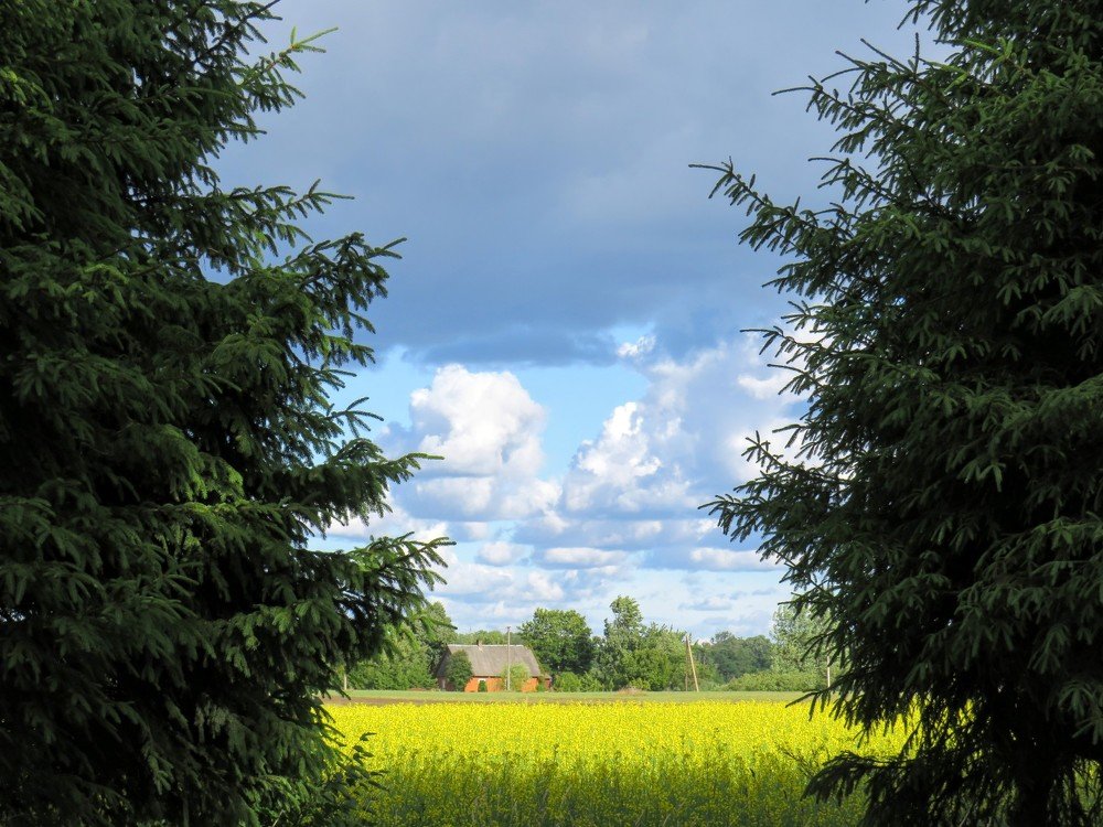 Photograph by ТАТЬЯНА КОНРАДИ