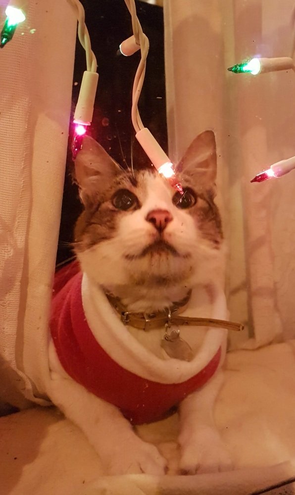 Photograph by Carlos Barría