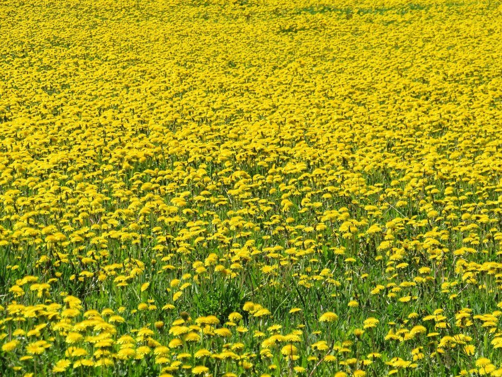 Photograph by ТАТЬЯНА КОНРАДИ