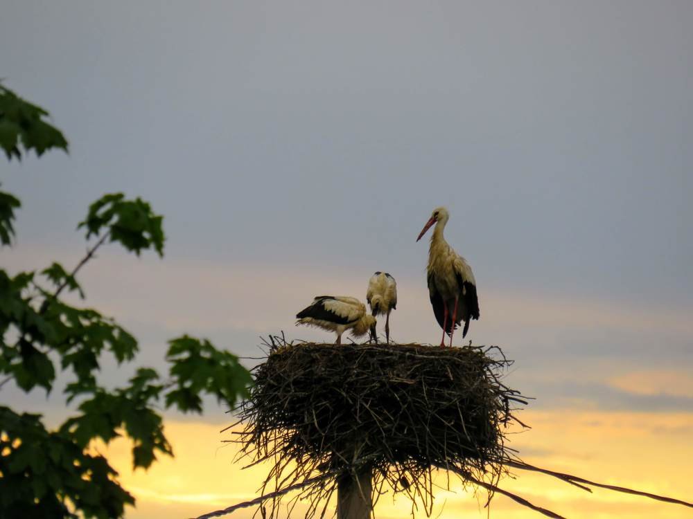 Photograph by ТАТЬЯНА КОНРАДИ